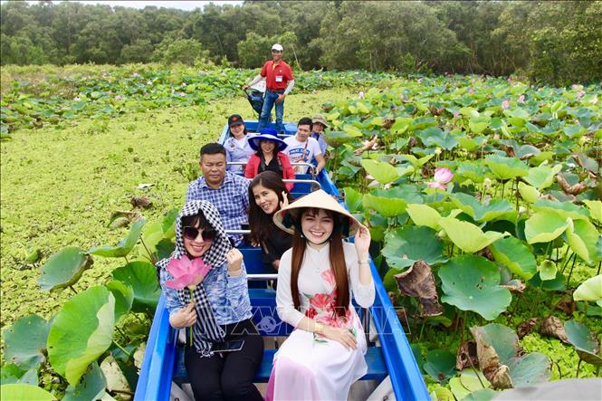 Trong ảnh: Khách du lịch tham quan rừng tràm Trà Sư. Ảnh: Thanh Sang-TTXVN